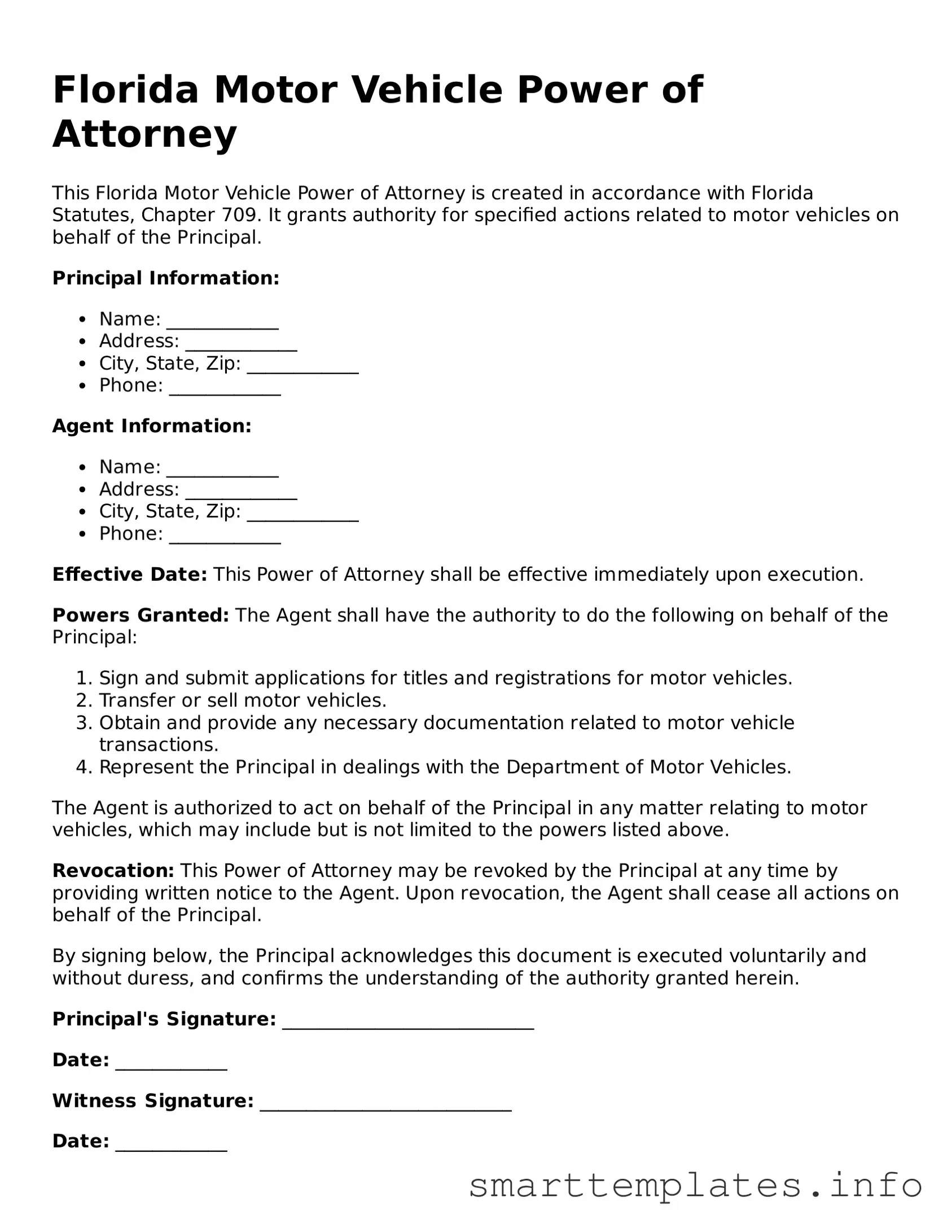 Legal Motor Vehicle Power of Attorney Template for Florida State