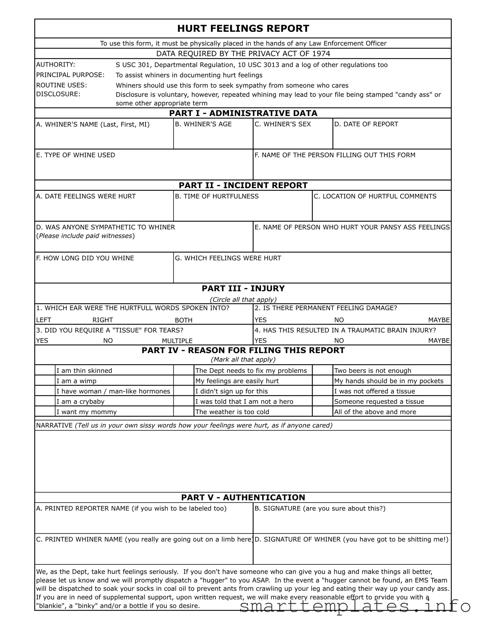 Fill in a Valid Hurt Feelings Report Form