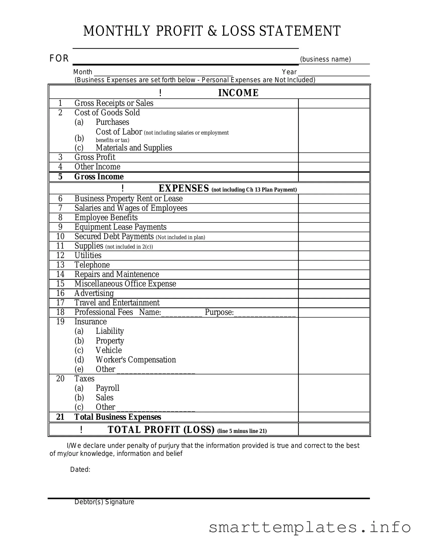 Fill in a Valid Profit And Loss Form
