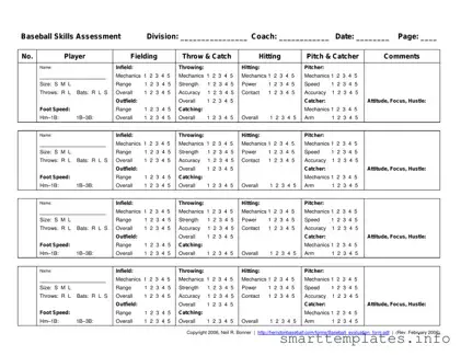 Fill in a Valid Baseball Assessment Form
