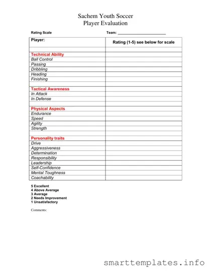 Fill in a Valid Soccer Player Evaluation Form